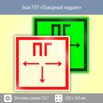���� F09 ��������� ������� (������������������ ������ ���� 34428-2018, 100�100 ��)