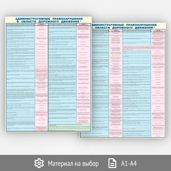 ������� ����������������� �������������� � ������� ��������� ��������� (�-75, 2 �����)